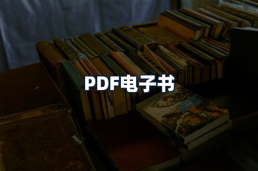 PDF电子书